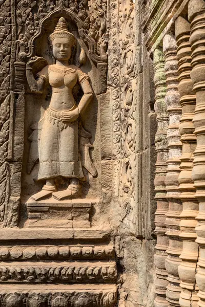 Angkor, Siem Reap, Kamboçya, Ta Phrom Tapınağı. Angkor kompleksinin içindeki tapınaklardan biri.