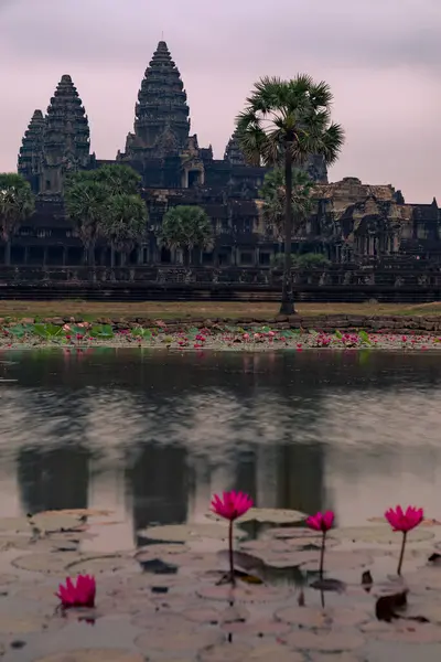 Kamboçya, Siyam Hasadı, Angkor. Dünyaca ünlü Angkor Wat gün doğumunda