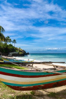 Cebu sahilinde dinlenen renkli tekneler.