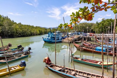 Limanda demirlemiş renkli balıkçı tekneleri, Tayland Phuket