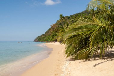 Sakin turkuaz deniz suyunun yanında uzanan tropik kumlu sahil, Koh Chang, Tayland