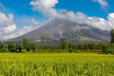 Cagsawa Albay Filipinler 09 Mart 2018 Mayon Dağı patlaması, doğa manzarası 