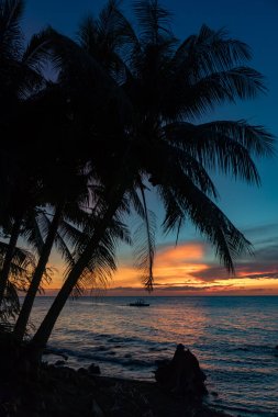 Palmiye ağaçları, altın gökyüzü, Camiguin, Filipinler 'le okyanusun üzerinde güzel tropik bir gün batımı.