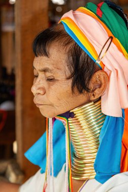 Tepe Kabileleri Chiang Rai Tayland 23 Ocak 2007 Uzun Boylu Karen kabilesinin Leydisi