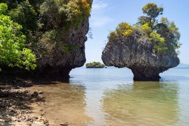 Su kenarındaki eşsiz kaya oluşumlarına bakarak, Tayland Krabi