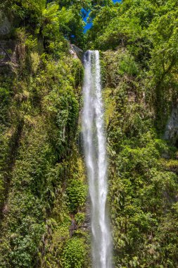Güneşli bir günde Katibawasan Şelalesi, Mambajao, Filipinler