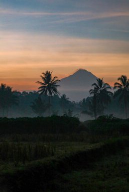 Volkanik dağlar ve tropikal palmiye siluetleri, sisli manzara