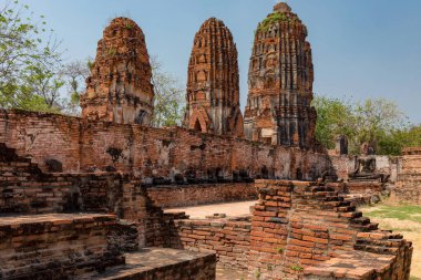 Wat Mahathat, Tayland 'daki Ayutthaya Tarihi Parkı içinde önemli bir tapınak harabesi.. 