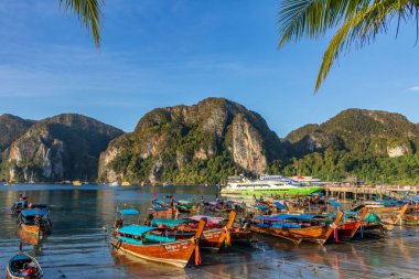 Phi Phi adasına renkli tekneler yanaştı.