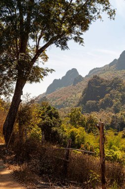 Tayland 'da tropikal orman ve kaya oluşumlarının güzel manzarası 