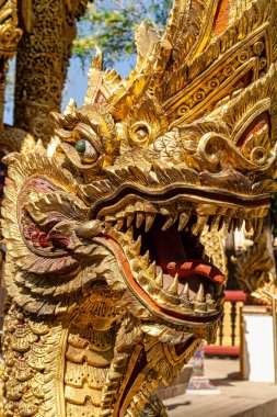 Tayland, Chiang Mai 'deki Wat Phra Singh' de Phaya Naga 'nın altın heykeli (efsanevi yılan veya ejderha). 
