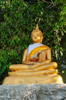 Phuket 'te yeşil yapraklarla çevrili altın Buda heykeli.