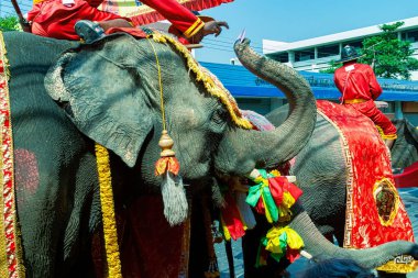 Festivale katılan madalyalı filler, Tayland Ayutthaya