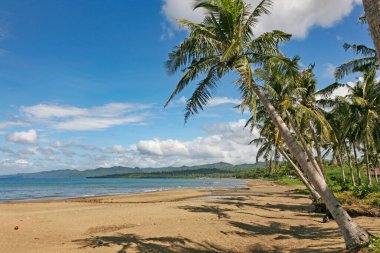 Wide sandy beach captured in daytime, Philippines 