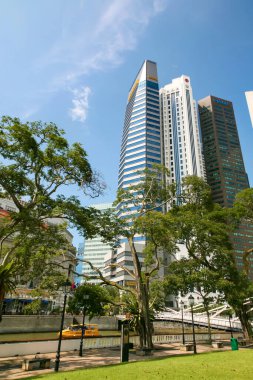 Singapur 'da yüksek binalar ve ağaçlar