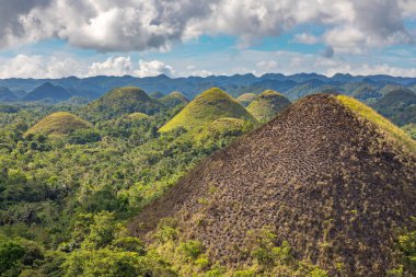 Güzel doğa manzaralı Çikolata Tepeleri