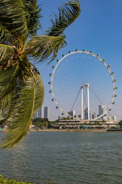 Palmiye ağaçları ve dönme dolabı olan Singapur silueti