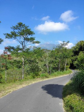 Mavi gökyüzünün altında, Endonezya 'ya giden dolambaçlı bir yol.
