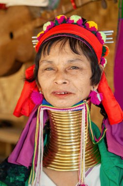 Tepe Kabileleri Chiang Rai Tayland 23 Ocak 2007 Uzun Boylu Karen kabilesinin Leydisi