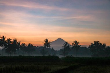 Volkanik dağlar ve tropikal palmiye siluetleri, sisli manzara