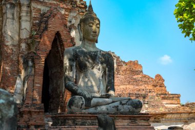 Wat Mahathat 'daki Buda heykeli, Tayland' daki Ayutthaya Tarih Parkı içindeki dünyaca ünlü tapınak kalıntısı.