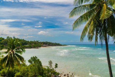 Palmiye ağaçlarıyla Cebu kıyı şeridinin manzarası