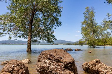 Kayalık kıyı şeridi, Phuket Tayland suları yakınında ağaçlar
