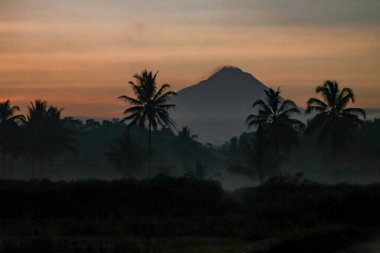 Volkanik dağlar ve tropikal palmiye siluetleri, sisli manzara