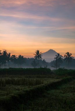 Volkanik dağlar ve tropikal palmiye siluetleri, sisli manzara
