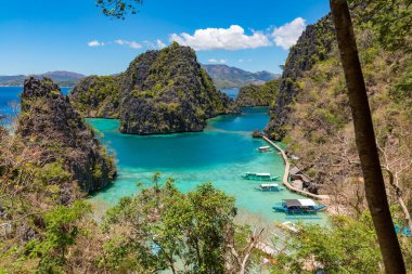 Filipinler 'deki Tropikal Balıkçılık Topluluğunun Canlı Tekneleri