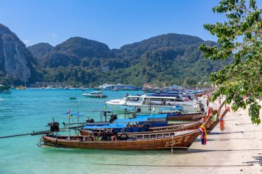 Phi Phi sahilinde tekneler sıraya dizildi.