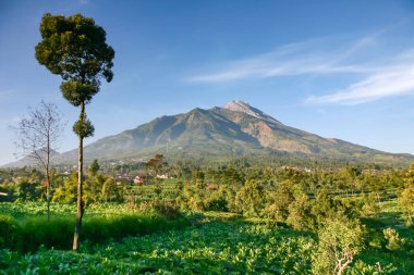 Beautiful indonesian landscape with Mount Mrapi in the background. Central Java Indonesia.
