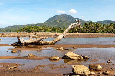 Nehir ağzı sel tarafından yıkılan enkazı gösteriyor, Biliran, Filipinler