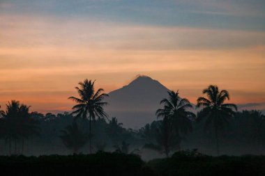 Volkanik dağlar ve tropikal palmiye siluetleri, sisli manzara