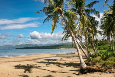 Nature shot - wide sandy beach captured in daytime, Philippines 