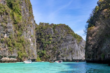 Filikalar Phi Phi adalarında geziniyor.