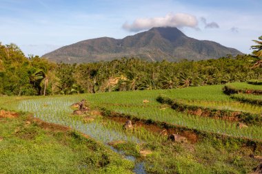 Beautiful inland scenery on Biliran Island, Philippines