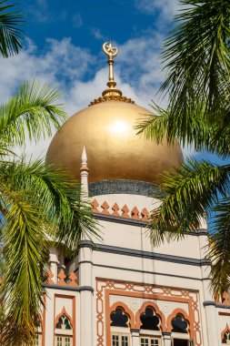 Palmiye ağaçlarıyla çevrili caminin altın kubbesi.