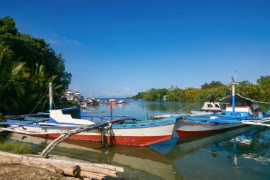 Bohol nehrinin kıyısına renkli tekneler yanaştı