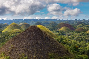 Filipinlerdeki Çikolata Tepeleri, doğa manzarası, hava manzarası 