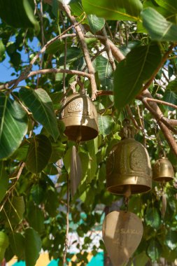 Tayland, Phuket. Tapınaktaki bir ağaç dalından sarkan küçük altın Budist dua çanlarının yakın çekimi. Çanların karmaşık tasarımları var ve canlı yeşil yapraklarla çevrili..