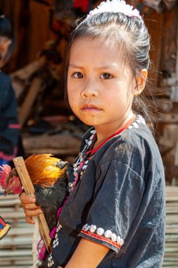 Hill Kabileleri, Chiang Rai, Tayland - 23 Ocak 2007 Lahu Tepesi kabilesinin horozu olan küçük kız.