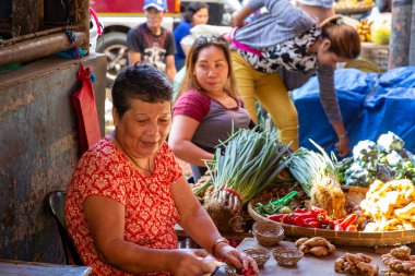 Meşgul Marketteki Kadın Satıcılar ve Müşteriler Taze sebze ve Kökler Satıyorlar
