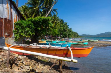 Filipinler 'in güneyindeki tropikal kıyı şeridinde dinlenen renkli balıkçı tekneleri