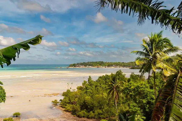 Scenic view of Cebu beach with palm trees
