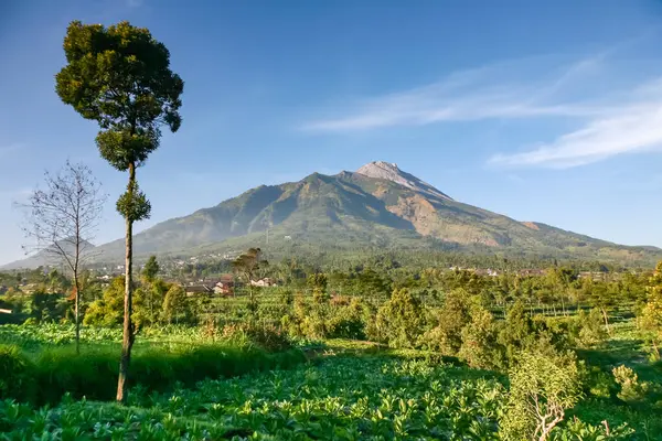 Beautiful indonesian landscape with Mount Mrapi in the background. Central Java Indonesia.