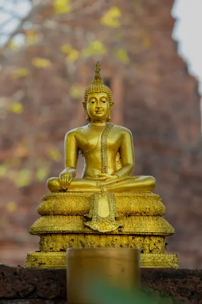 Tayland, Ayutthaya 'daki eski Buda heykeli
