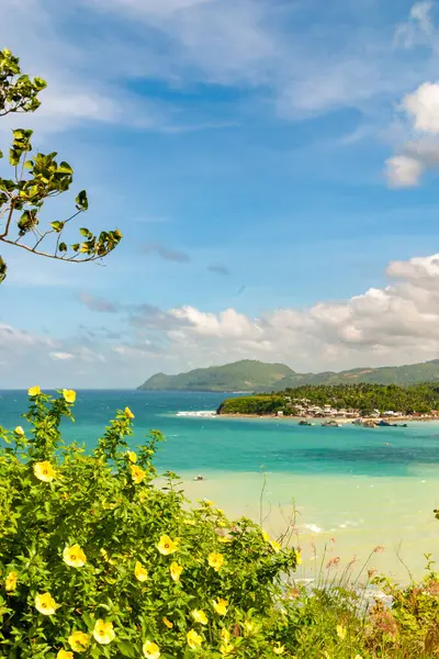 Scenic view of Cebu coastline with vibrant flowers