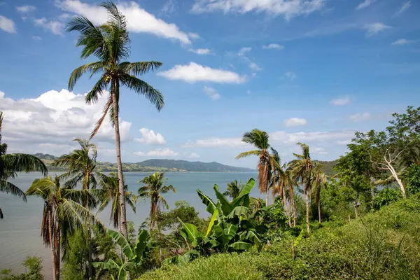 Leyte Körfezi, Filipinler 'deki tropik yeşillik manzarası