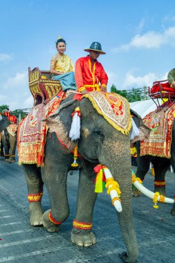 Tayland 'da Ayutthaya festivalinde geleneksel kostümlü Taylandlılar fil biniyor.
